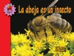 La abeja es un insecto